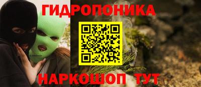 дживик Кимры