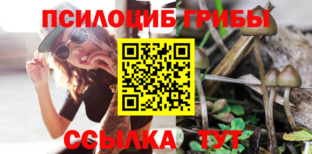 Галлюциногенные грибы Cubensis  Вход с VPN  Краснознаменск 